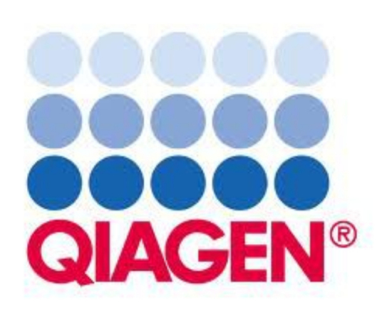 什么是Qiagen