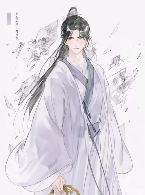 楚晚宁（小说《二哈和他的白猫师尊》及其衍生作品中的男主角之一）