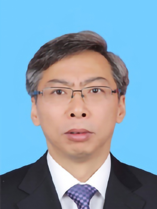 什么是张小宏（上海市人民政府副市长）