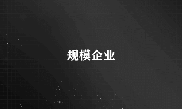 什么是规模企业