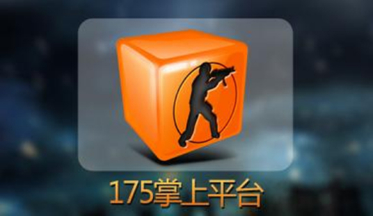 什么是175pt