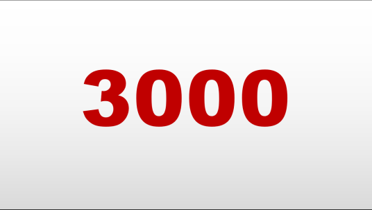 3000