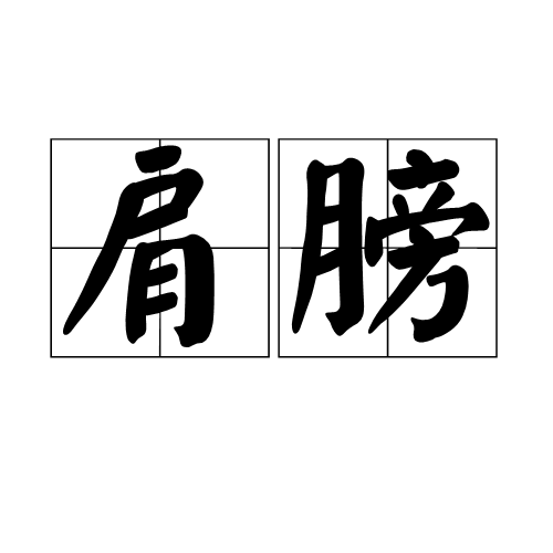 肩膀（身体部位）