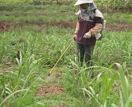 除草剂