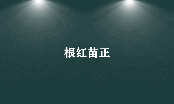 什么是根红苗正