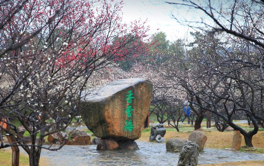 香雪海（中国江苏省苏州市境内景点）