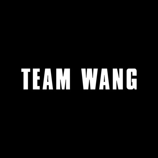 TEAM WANG SOUL LIMITED