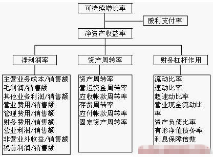 什么是可持续增长率