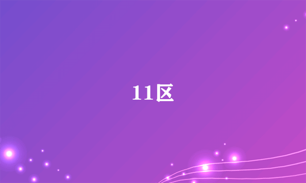 什么是11区