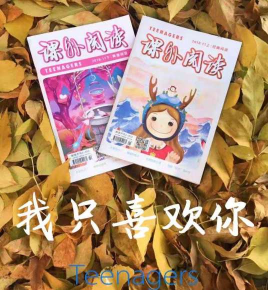 课外阅读（国家级期刊）