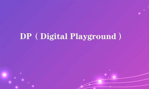 DP（Digital Playground）