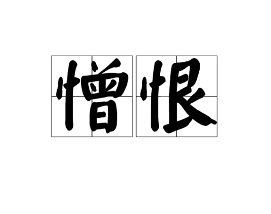 什么是憎恨（词语）