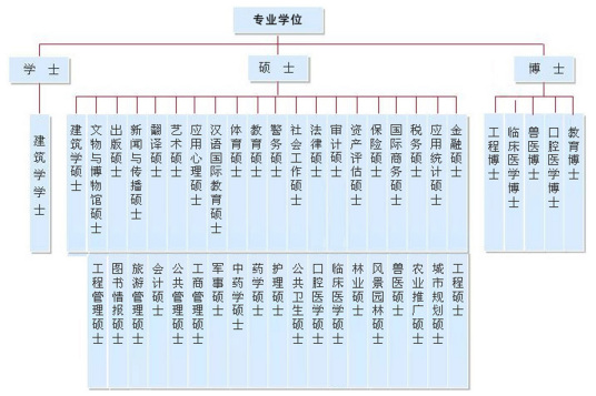 专业学位