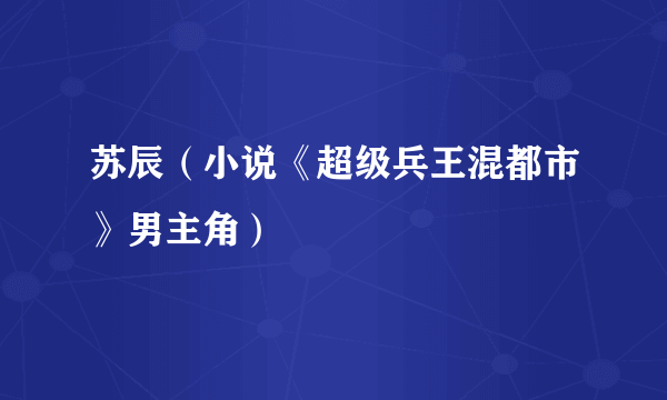 苏辰（小说《超级兵王混都市》男主角）