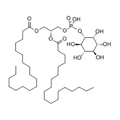 什么是磷脂酰肌醇