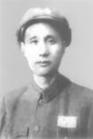 向明（政治家、军事家）