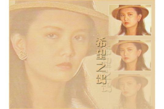 什么是希望之鸽（1990年孙兴、曾华倩主演电视剧）