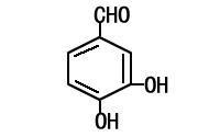 原儿茶醛