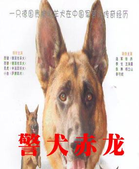 警犬赤龙