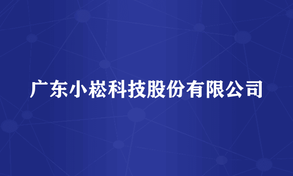 什么是广东小崧科技股份有限公司