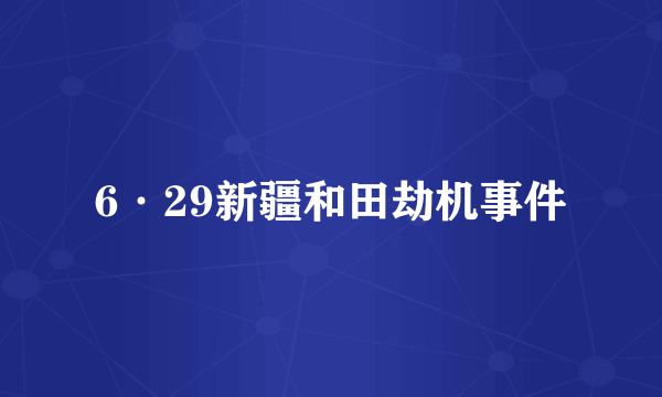 6·29新疆和田劫机事件