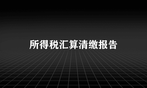 所得税汇算清缴报告