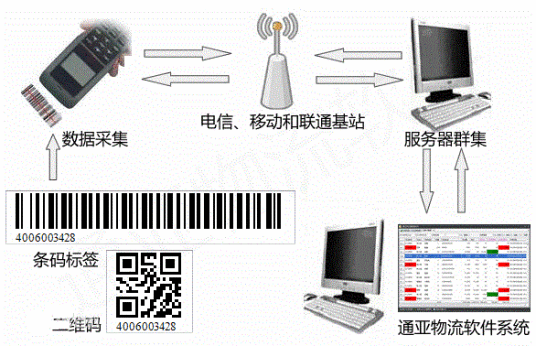 通亚物流软件