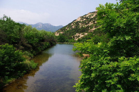 珠山（山东青岛珠山）