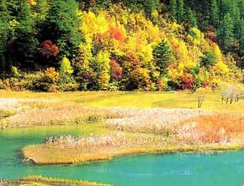 奶子沟彩林景区