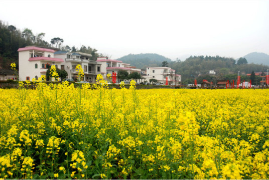 红山村（广东省广州市花都区梯面镇下辖村）