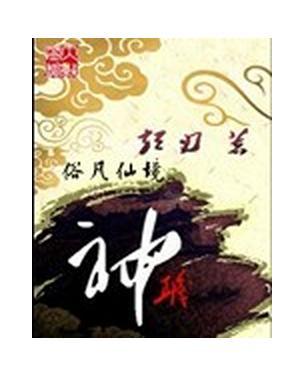 神职（短刃创作的网络小说）