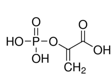 磷酸烯醇丙酮酸