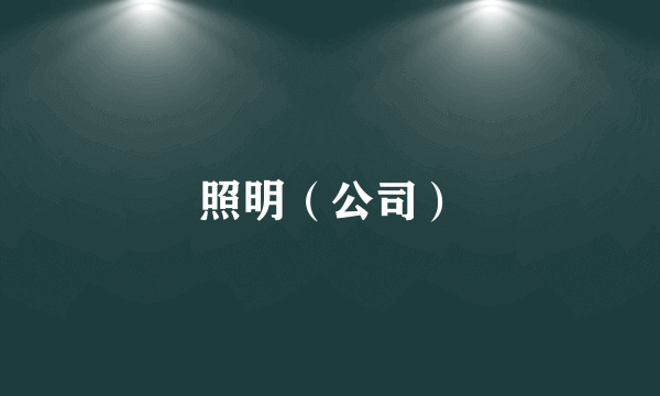 照明（公司）