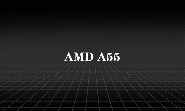 AMD A55