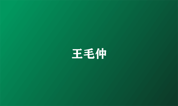 王毛仲