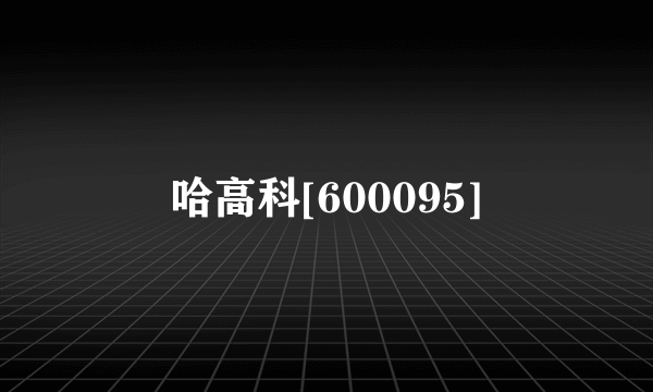 哈高科[600095]