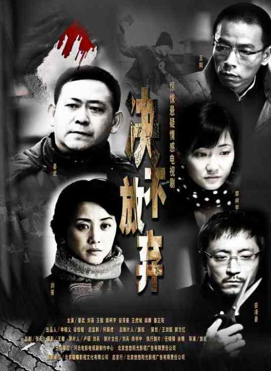 决不放弃（2008年张族权执导电视剧）