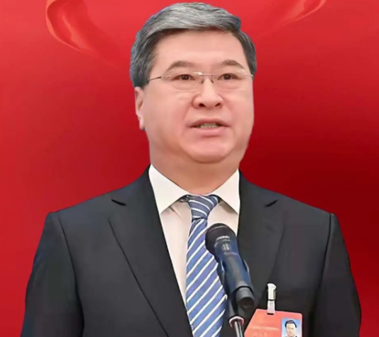 什么是陆文俊（第十四届全国人大代表，中国第一重型机械股份公司董事长）