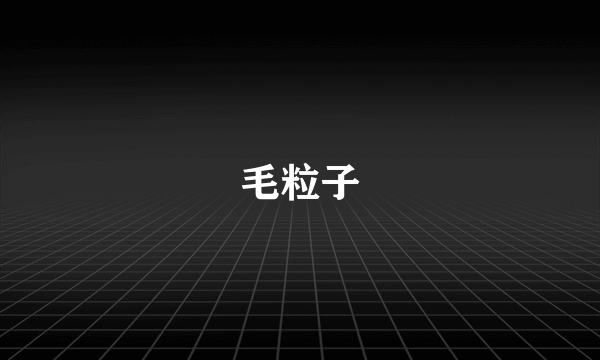 毛粒子