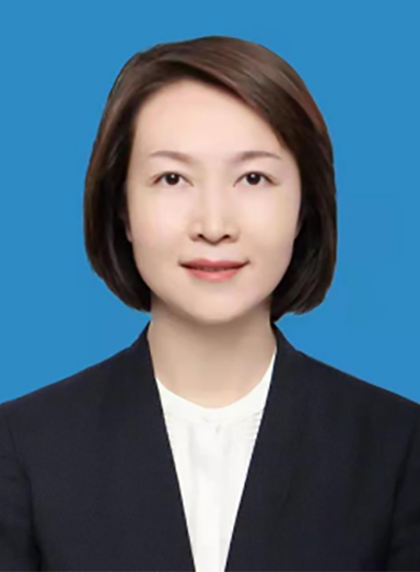 什么是田婷婷（山东省临沂市河东区委副书记、区政府区长、党组书记）