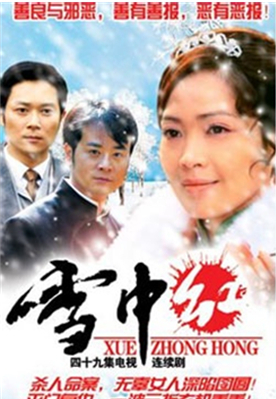 雪中红（2006年台湾苦情电视剧）