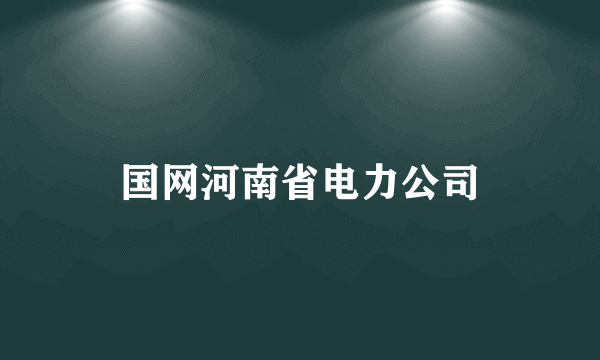 国网河南省电力公司