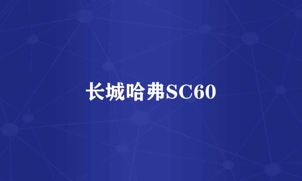 长城哈弗SC60