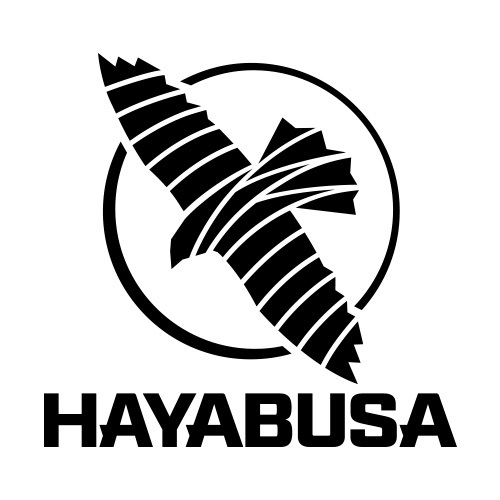 HAYABUSA