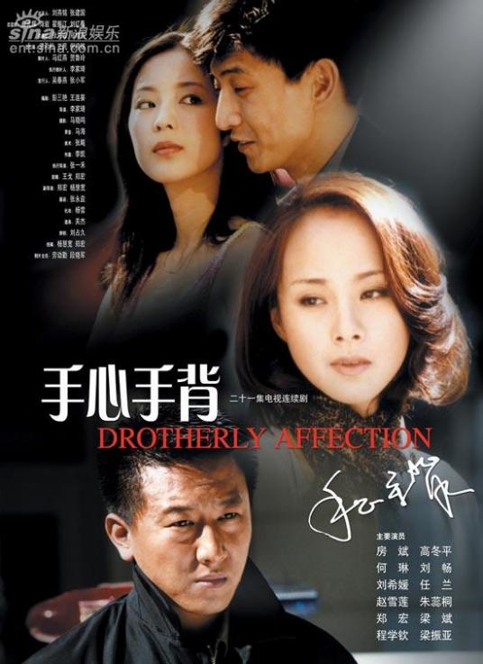 手心手背（2002年何琳主演电视剧）