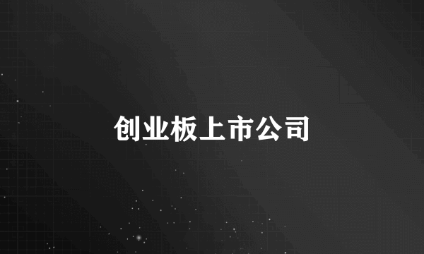 什么是创业板上市公司