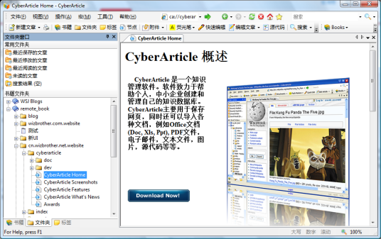 cyberarticle