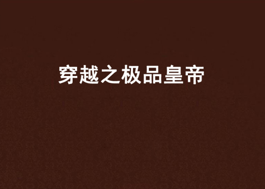 什么是穿越之极品皇帝