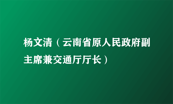 杨文清（云南省原人民政府副主席兼交通厅厅长）