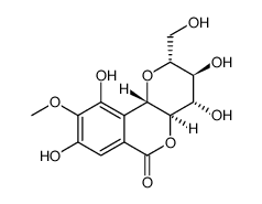 岩白菜素（用于慢性支气管炎）